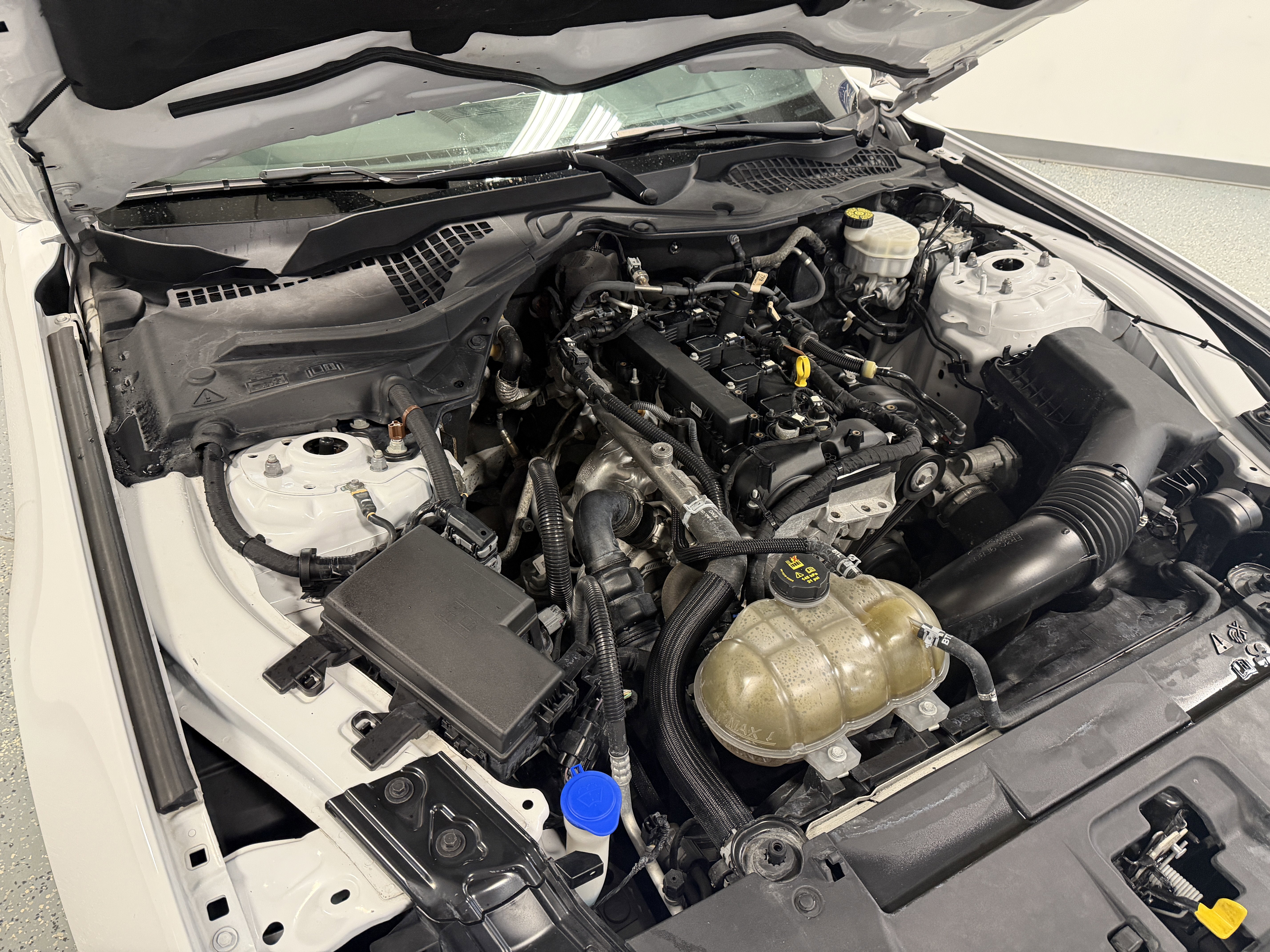 2021 Ford Mustang EcoBoost Premium