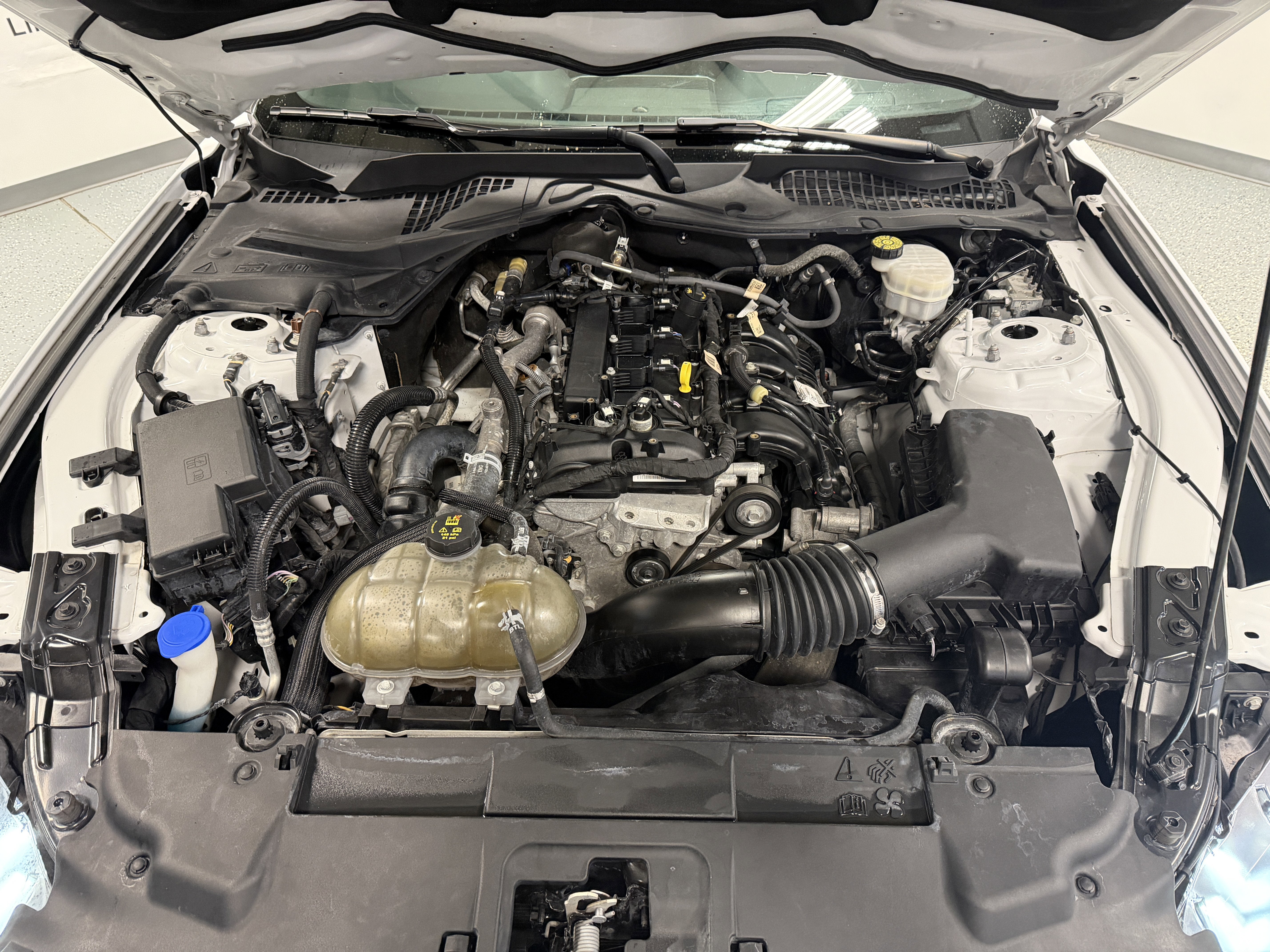 2021 Ford Mustang EcoBoost Premium