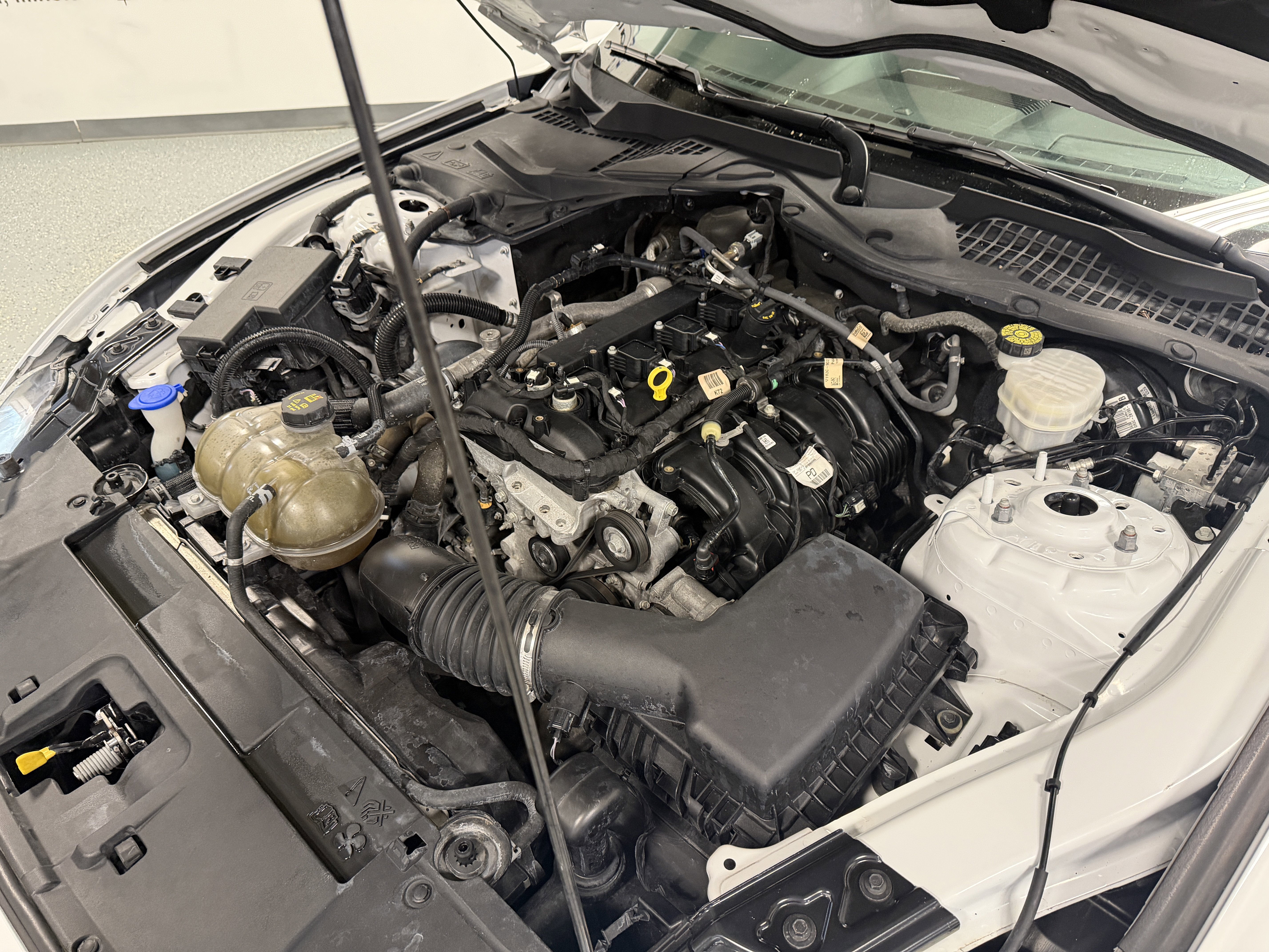 2021 Ford Mustang EcoBoost Premium