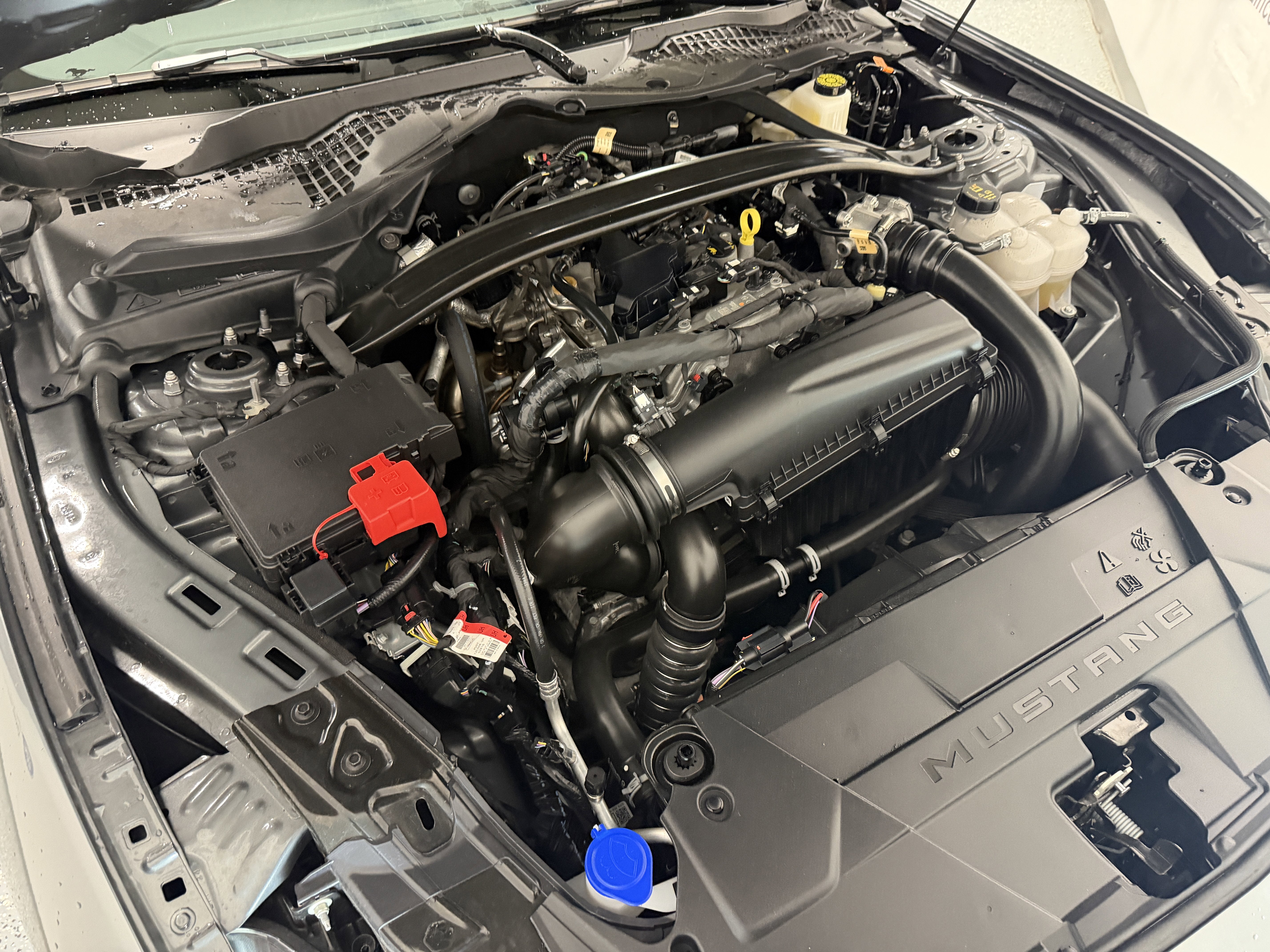 2025 Ford Mustang EcoBoost Premium