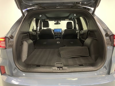 2024 Ford Escape ST-Line Elite