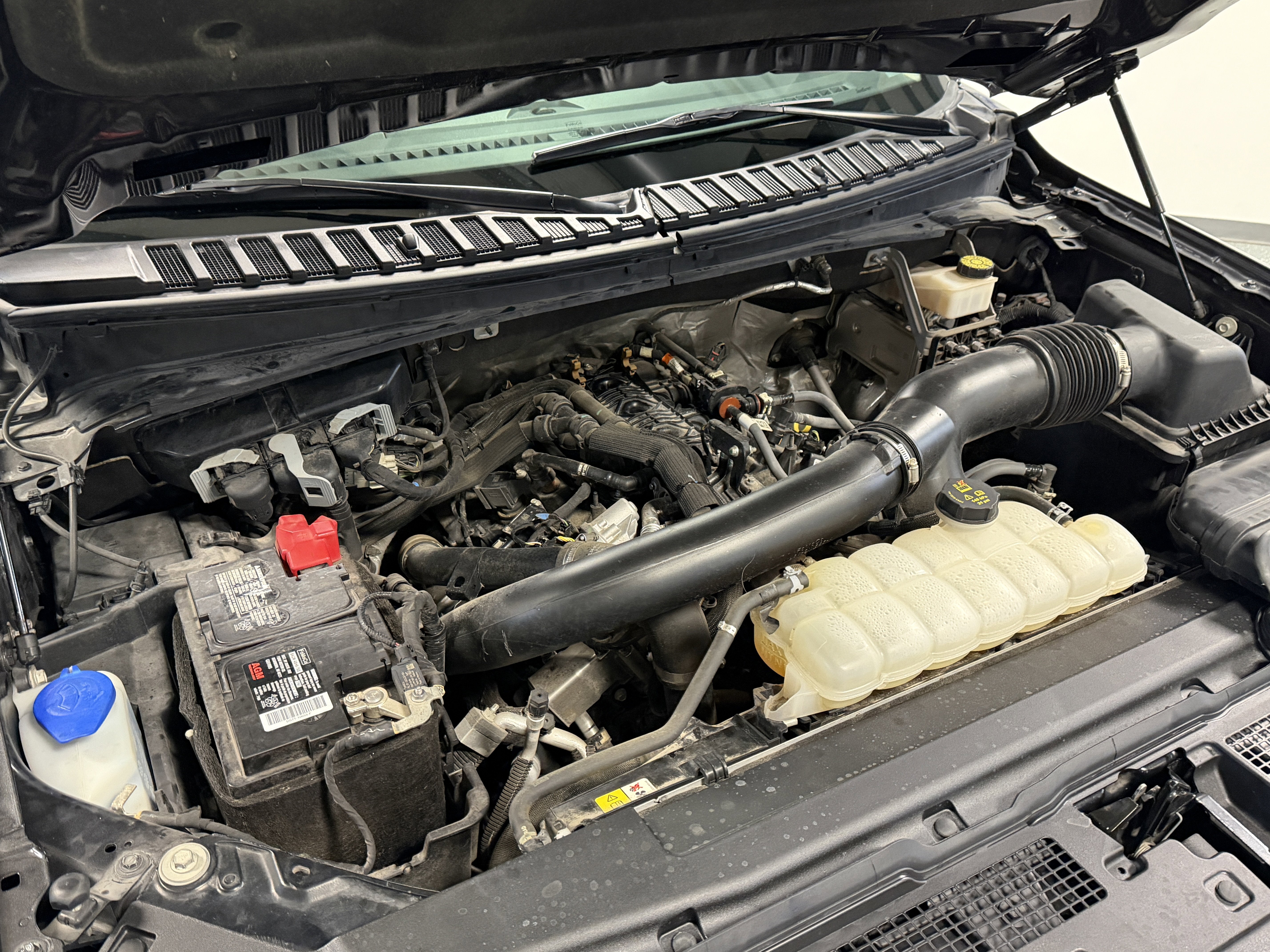 2023 Ford Expedition Max XLT