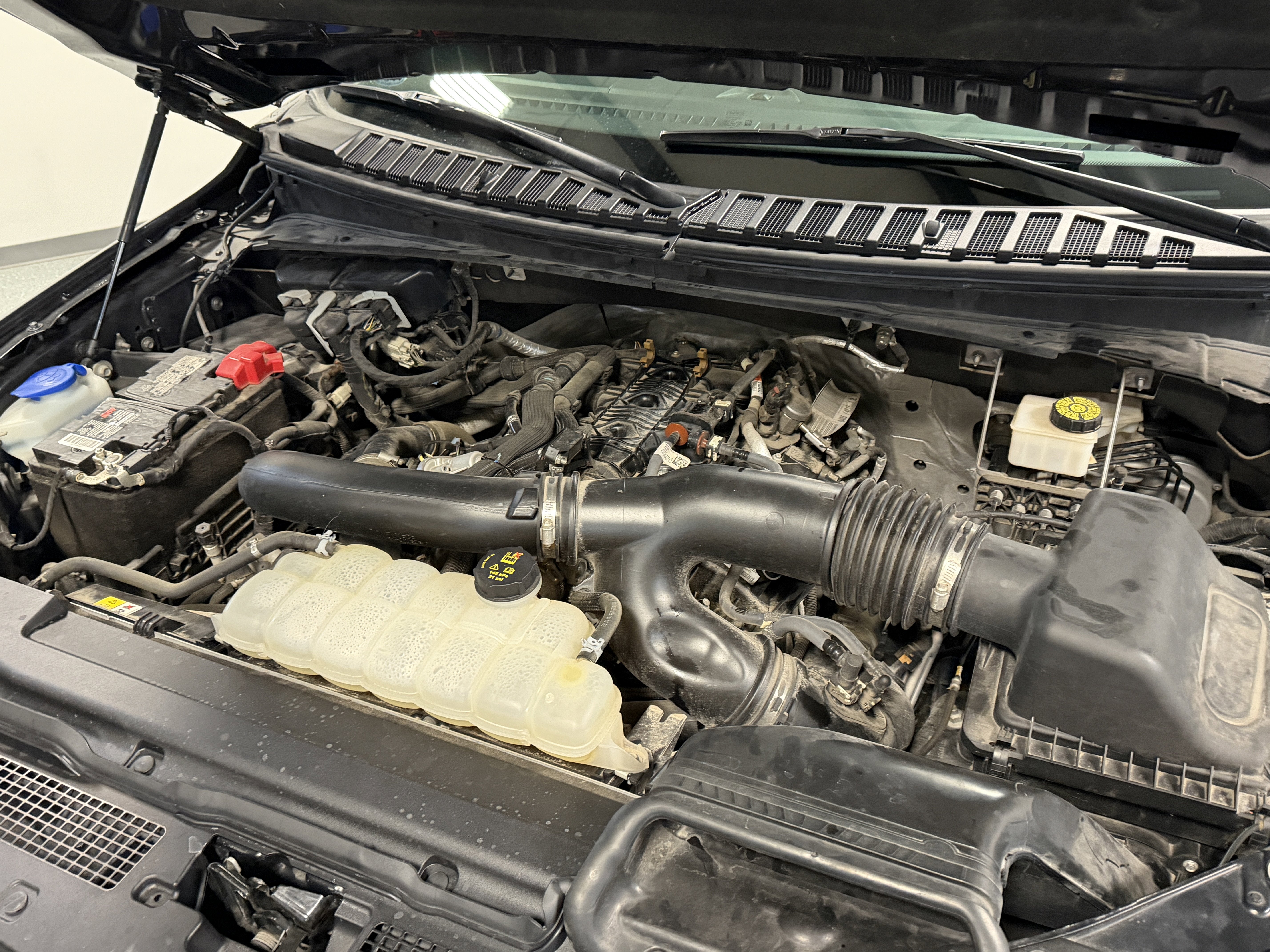 2023 Ford Expedition Max XLT