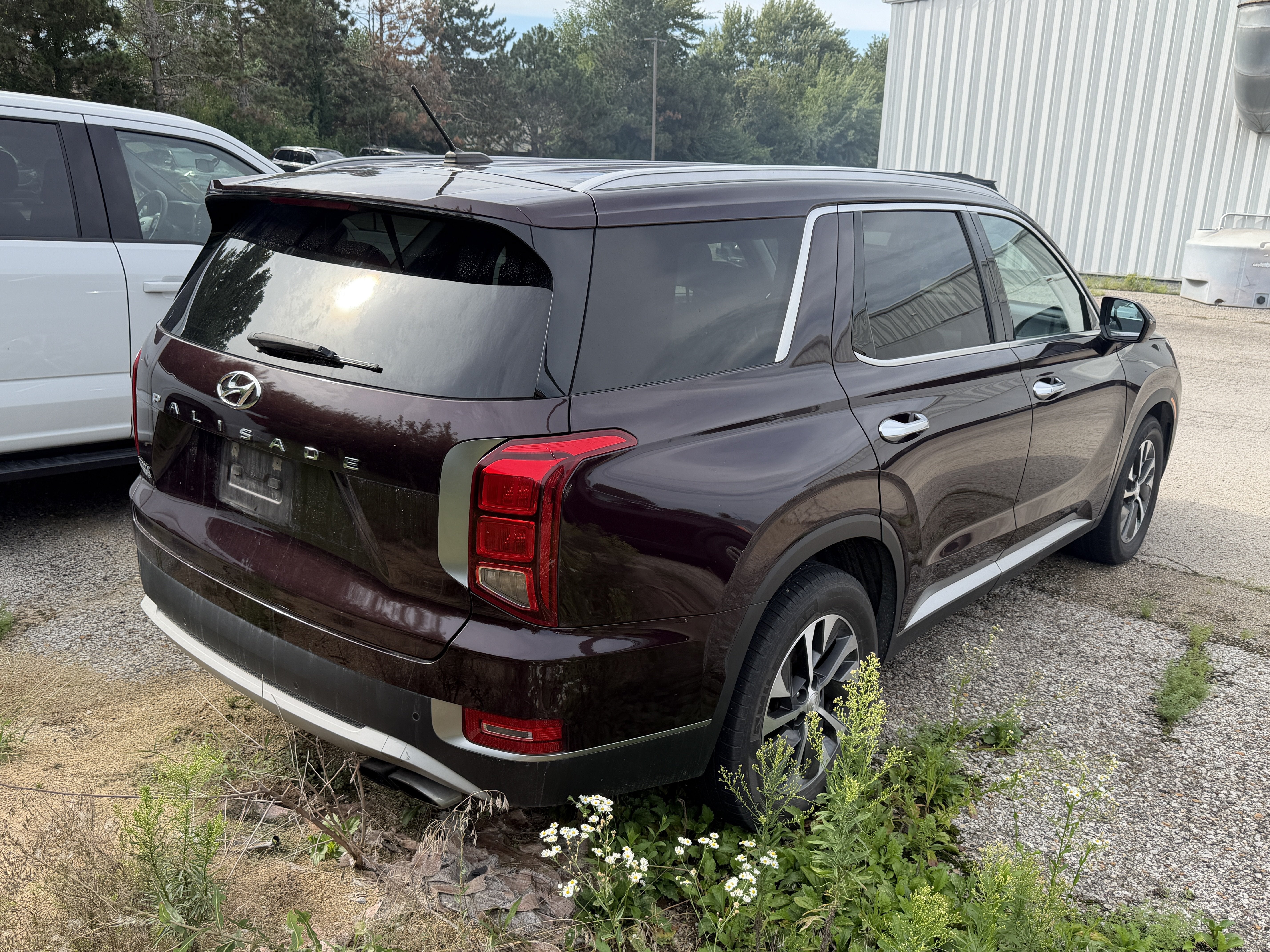 2020 Hyundai Palisade SEL