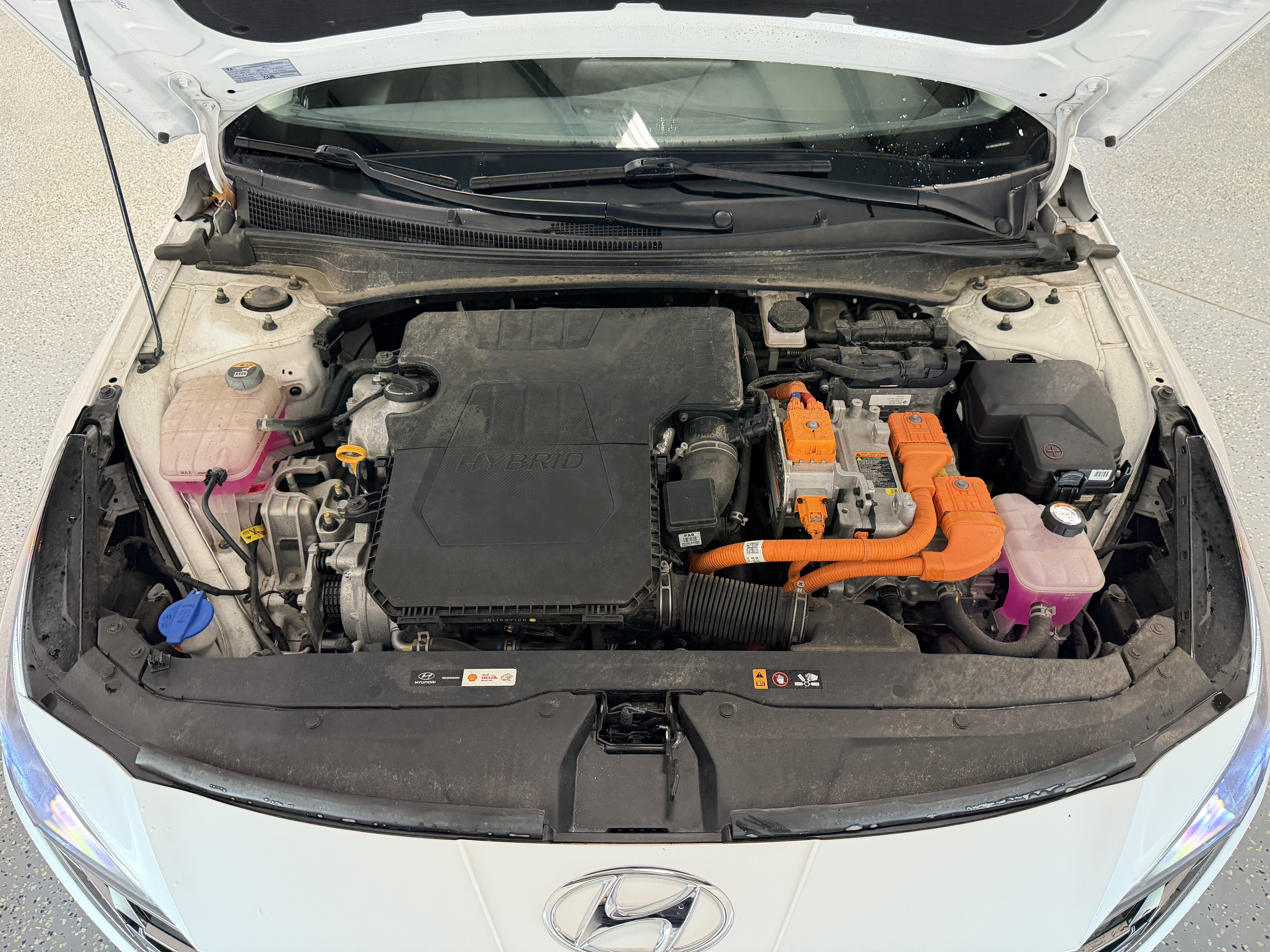 2023 Hyundai Elantra Hybrid Limited