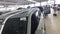 2025 Volvo XC90 Plug-In Hybrid Plus